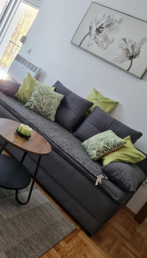 Apartman Tim Lux 2 Vrnjacka Banja Exterior photo